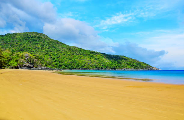 istock Wilde beach Con Dao island, Vietnam with blue water. 1351402761