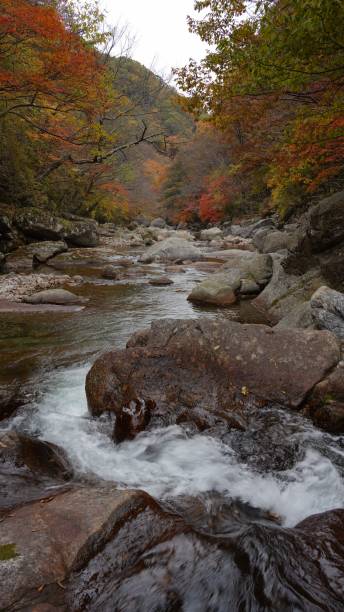 istock Beautiful autumn valley scenery in Korea 1351405839
