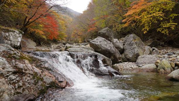 istock Beautiful autumn valley scenery in Korea 1351405844