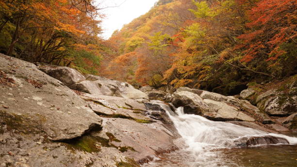 istock Beautiful autumn valley scenery in Korea 1351406397