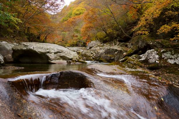 Beautiful autumn valley scenery in Korea