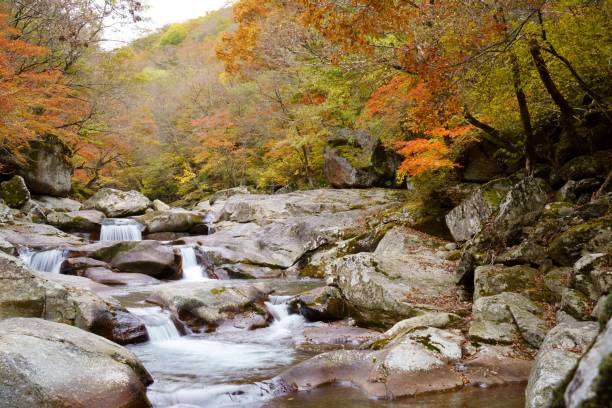 istock Beautiful autumn valley scenery in Korea 1351406417
