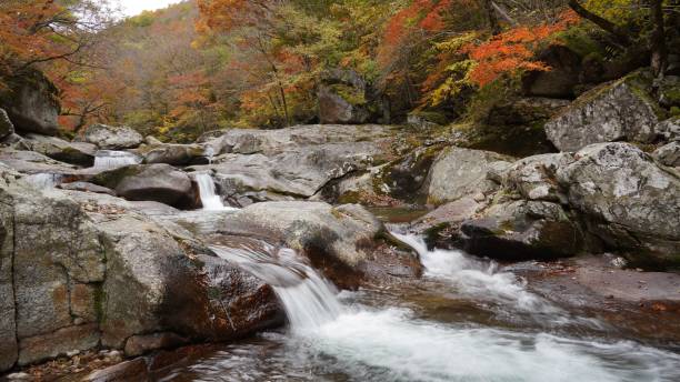 istock Beautiful autumn valley scenery in Korea 1351406428
