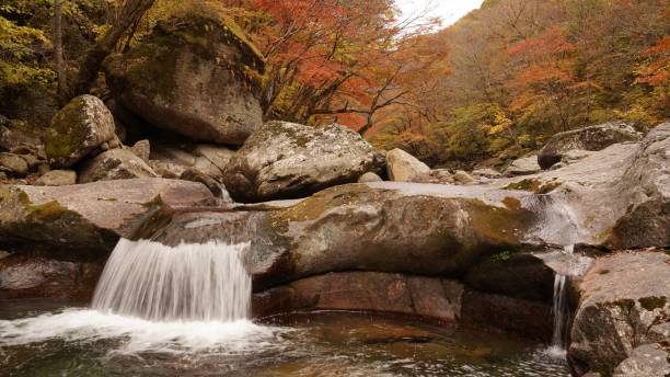 istock Beautiful autumn valley scenery in Korea 1351406438