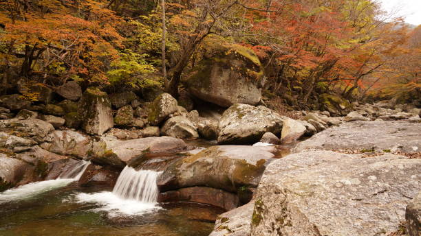 istock Beautiful autumn valley scenery in Korea 1351406441