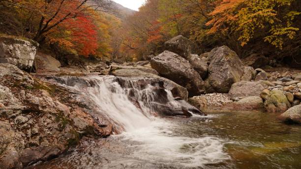 istock Beautiful autumn valley scenery in Korea 1351406514