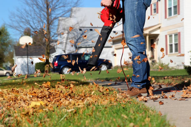 istock Man working with  leaf blower: the leaves are being swirled up and down on a sunny day 1351406884