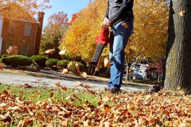 istock Man working with  leaf blower: the leaves are being swirled up and down on a sunny day 1351406897