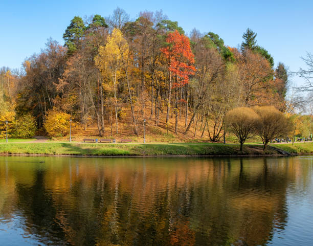 istock Autumn landscape with colorful trees reflection in the lake 1351407658