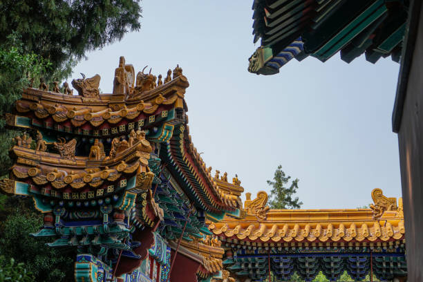 istock The eaves of ancient buildings 1351407681