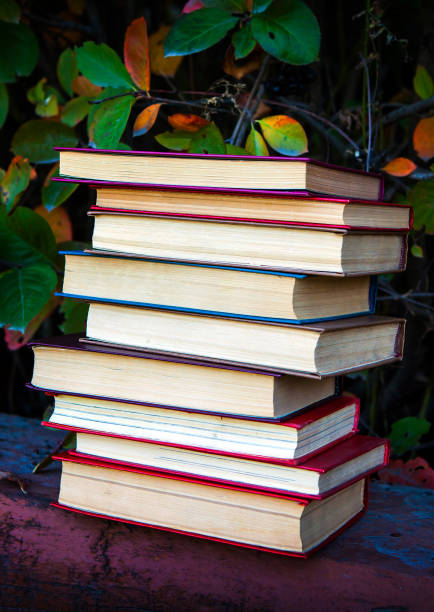 istock Old books outdoors 1351409720