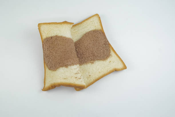 istock Two layers of white bread on a white background 1351411094