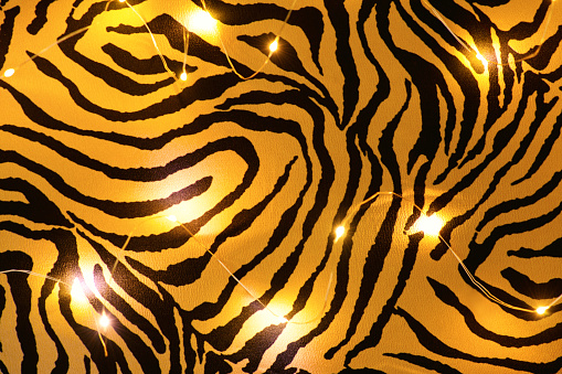 Blurred background. Luminous garland on tiger cloth,  flat lay. Symbol 2022 Tiger