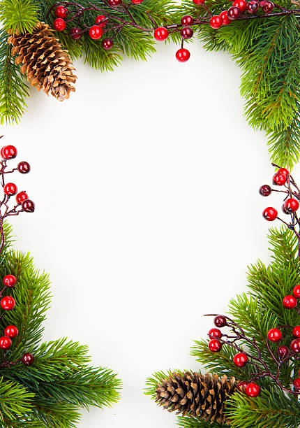 istock art  christmas frame with fir and Holly berry 135142182