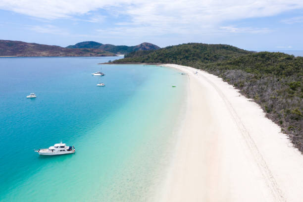 istock Whitehaven Beach - Whitsundays Queensland Australia 1351423540