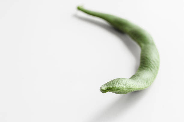Bean pod close-up. Curved shape, with seeds inside. Space for text