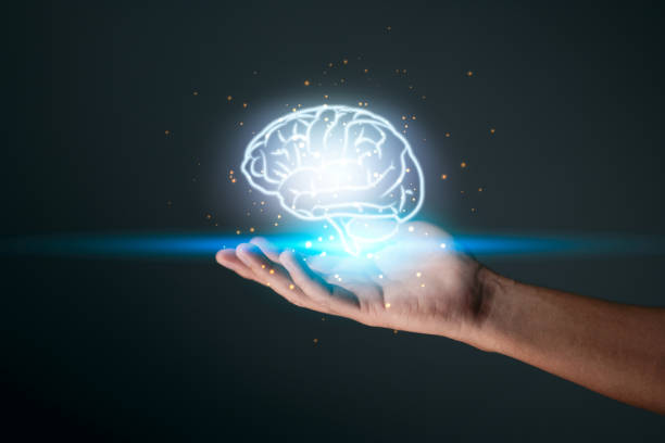 istock Artificial Intelligence, AI Technology, and the concept of thinking are all represented by a human hand holding a brain. 1351428605