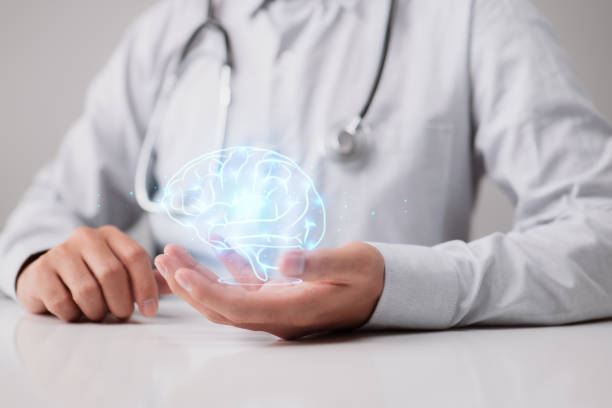 Human brain in the hands of a general practitioner or neurologist. Brain disease and mental illness diagnosis concept photo in neurology, psychiatry, psychotherapy, psychology Human brain in the hands of a general practitioner or neurologist. Brain disease and mental illness diagnosis concept photo in neurology, psychiatry, psychotherapy, psychology epilepsy stock pictures, royalty-free photos & images