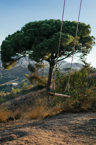 Image of an empty lonely swing with a huge tree in the background