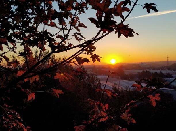 istock Early morning peek East 1351435171