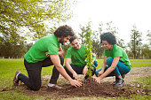 istock Multiracial volunteers planting in public park 1351442130