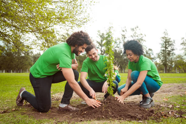 Multiracial volunteers planting in public park Male and female volunteers planting in park. Multiracial people are volunteering for environmental cleanup. They are wearing green t-shirts. social responsibility photos stock pictures, royalty-free photos & images