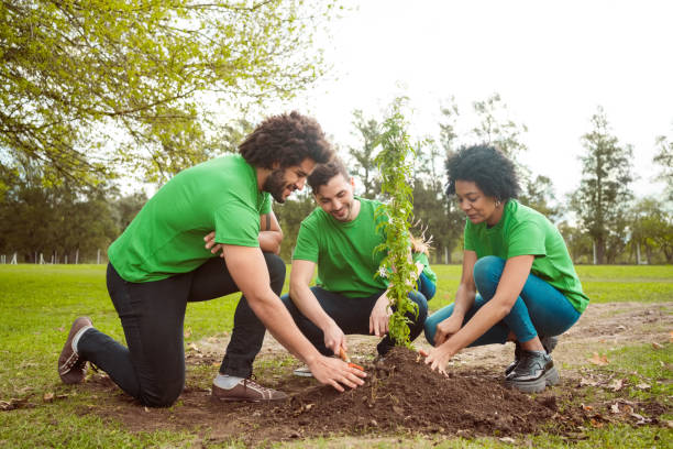 Multiracial volunteers planting in public park Male and female volunteers planting in park. Multiracial people are volunteering for environmental cleanup. They are wearing green t-shirts. volunteer stock pictures, royalty-free photos & images