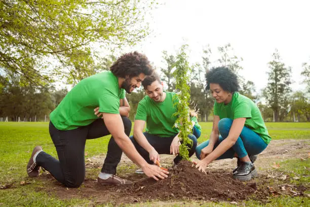 Male and female volunteers planting in park. Multiracial people are volunteering for environmental cleanup. They are wearing green t-shirts.