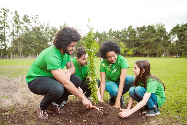 istock Multiracial volunteers planting in public park 1351442209