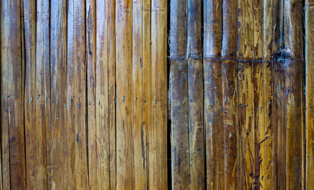 istock Close up photo of bamboo wall 1351442482