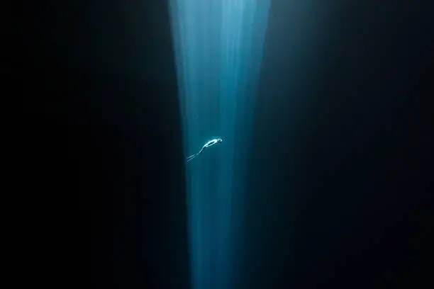 A Japanese Freediver remains floating in Neutral Buoyancy inside the light of a Cenote in Quintana Roo, Mexico