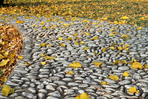 sinuous cobblestone path covered with fallen leaves in the autumn sunset, symbolizing loneliness, melancholy, nostalgia and withdrawal - evocative wallpaper