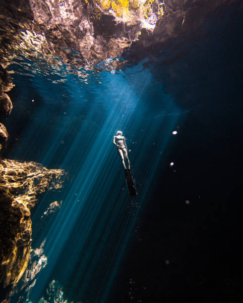 Surfacing in a Warm Cenote A Japanese freediver floats up to the surface of a Beautiful Mexican Cenote cenote stock pictures, royalty-free photos & images