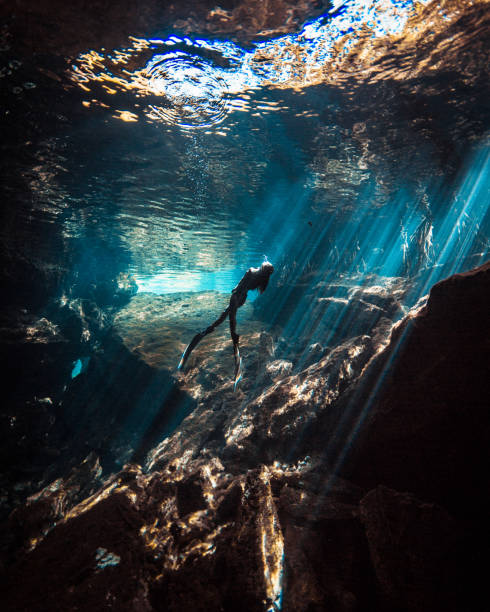 Shallow Freediving A Japanese Freediver swimming and enjoying the beauty of a Mexican Cenote cenote stock pictures, royalty-free photos & images