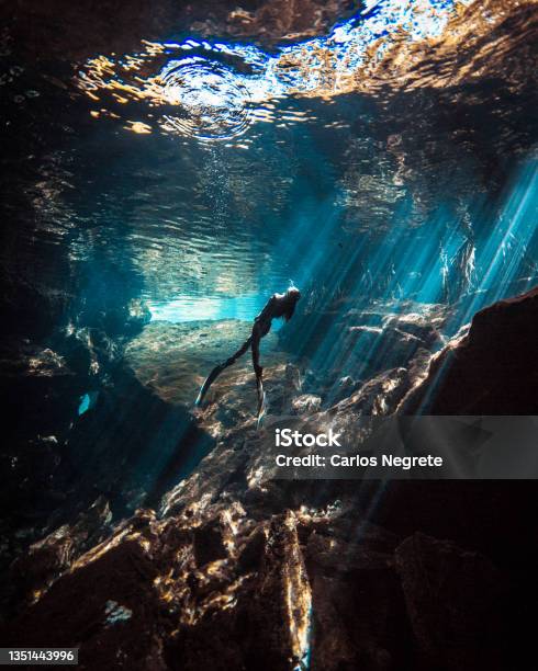 Shallow Freediving Stock Photo - Download Image Now - Mexico, Cenote, Cancun