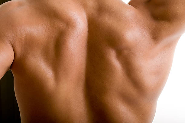 istock back and shoulder naked male body 135144491
