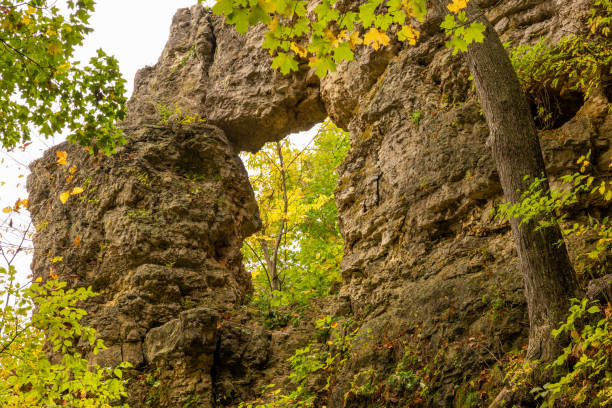 arco de roca en los bosques de otoño - natural tunnel state park fotografías e imágenes de stock