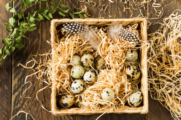 istock fresh natural quail eggs in straw and wicker box. top view. 1351448860