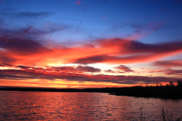 istock Colorful sunset by the Odra River, Poland. 1351449880