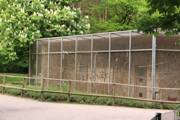 sunny spring morning in menden in the sauerland - aviary imagens e fotografias de stock