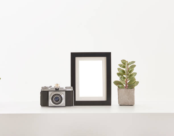 istock white background and frame in flower retro camera 1351452335