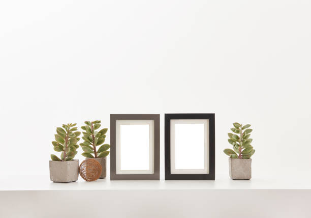 istock white background and frame in flower retro camera 1351452370