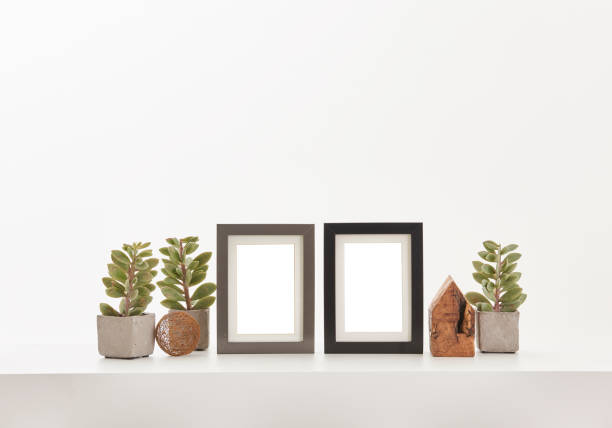 istock white background and frame in flower retro camera 1351452797