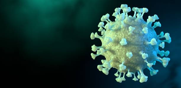 istock Microscopic view of a infectious SARS-CoV-2 virus cell 1351454400