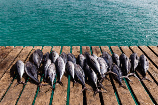 The public fishing pier at Seawolf Park located on Pelican Island, Galveston.