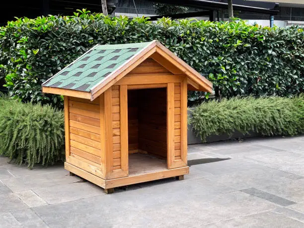 Empty kennel in front yard