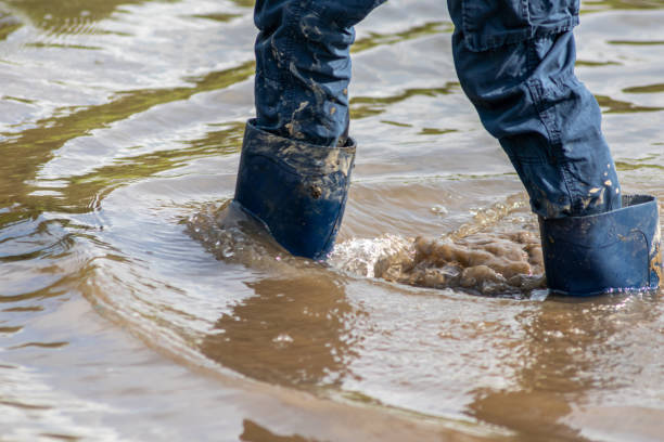 niño con trowsers azules cortos vadeando con calcetines mojados y botas mojadas durante la marea alta después de que el agua de una inundación rompió el dique y sobrevoló las tierras detrás - flood fotografías e imágenes de stock