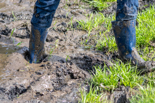 istock Young boy with short blue trowsers wading with wet socks and wet boots through high tide after a floodwater has broken the dike and overflown the lands behind 1351458253
