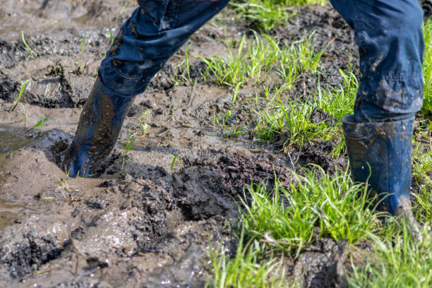 istock Young boy with short blue trowsers wading with wet socks and wet boots through high tide after a floodwater has broken the dike and overflown the lands behind 1351458254