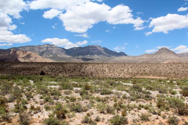 istock Panoramic view of the Nevada state desert with mountains in the background. 1351460651